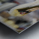 Store Dania Beach AE2A8718 Metal print