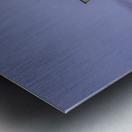 Store FLLAirShow AE2A2948 Metal print