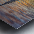 Belgium E2A9393 Metal print