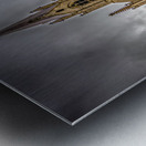 Belgium E2A8721 Metal print