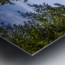 Holland E2A0158 Metal print