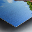 Holland E2A9787 Metal print