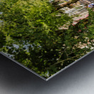 HollandAE2A9823 Metal print