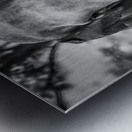 Wildlife 9 Metal print