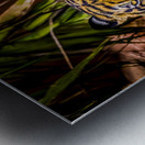 Wildlife 10 Metal print