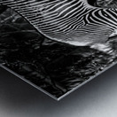 Wildlife 6 Metal print