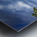 Wildlife 7 Metal print