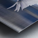 Wildlife 1 Metal print