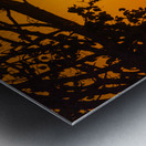 Vista View MG 7320 Metal print