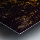 Vista View MG 7313 Metal print