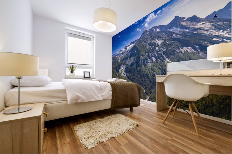 Alaska Mountain Mural print