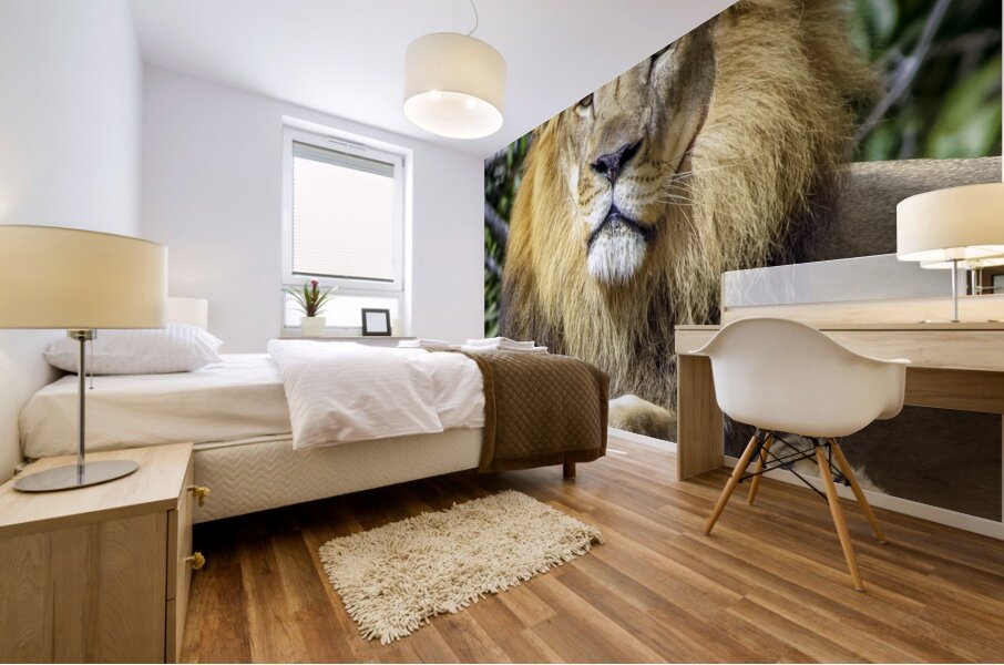 Lion Mural print