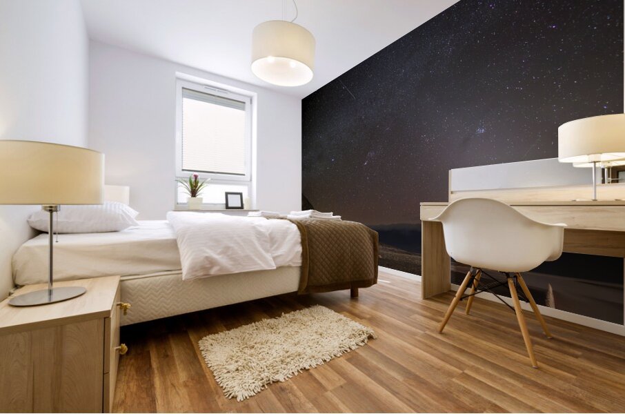 Death Valley 1 Mural print