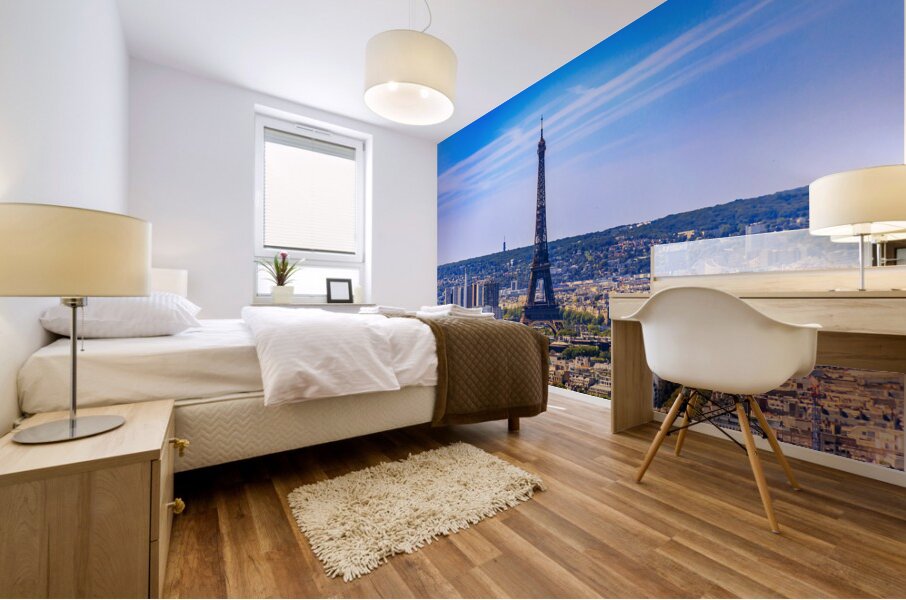 Store Paris 5L3A2634 Mural print