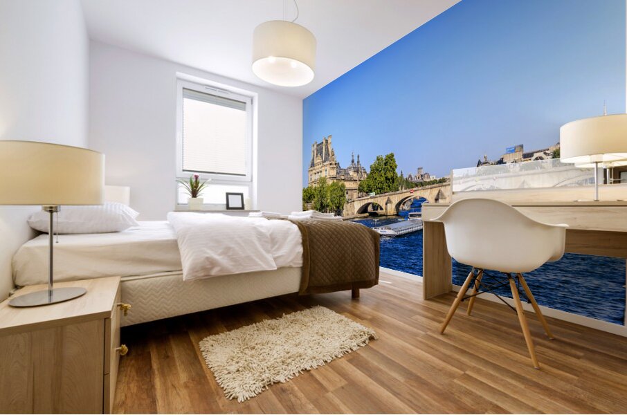 Store Paris 5L3A2792 Mural print