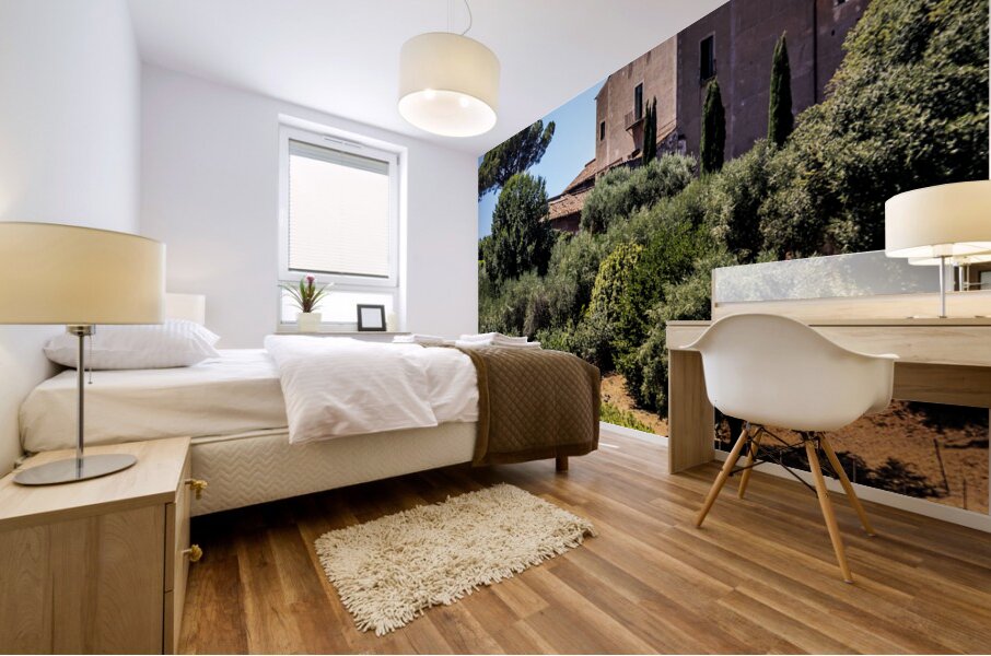 Store Rome 5L3A5011 Mural print