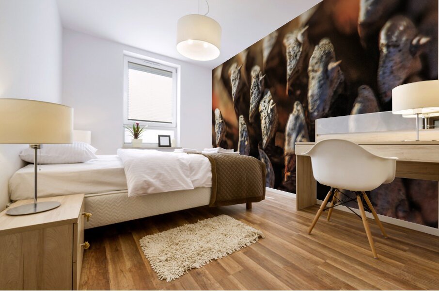 Store Georgia 5L3A0127 Mural print