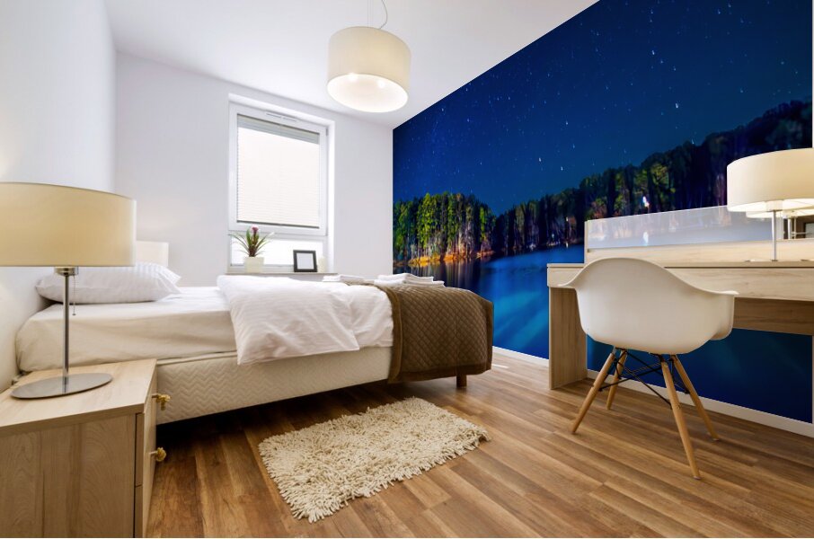 Store Georgia DSC 0711 Mural print