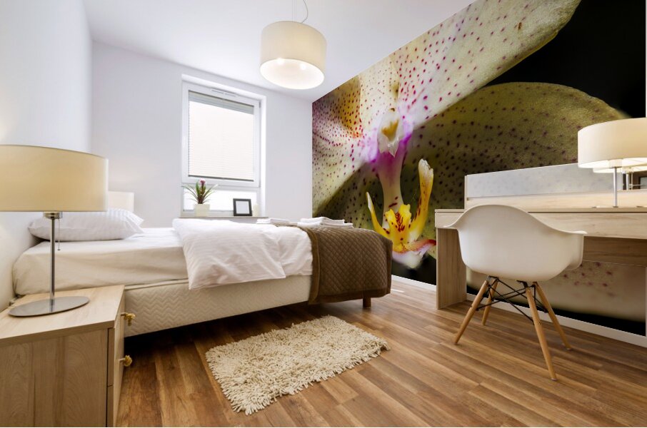 Store Macro 5L3A3617 Mural print