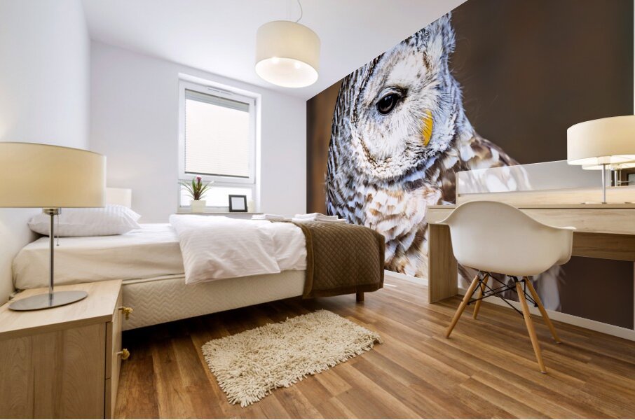 Store Vancouver 5L3A6870 Mural print