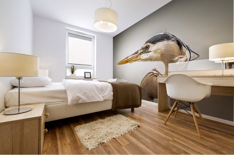 Store Key Biscayne AE2A9025 Mural print