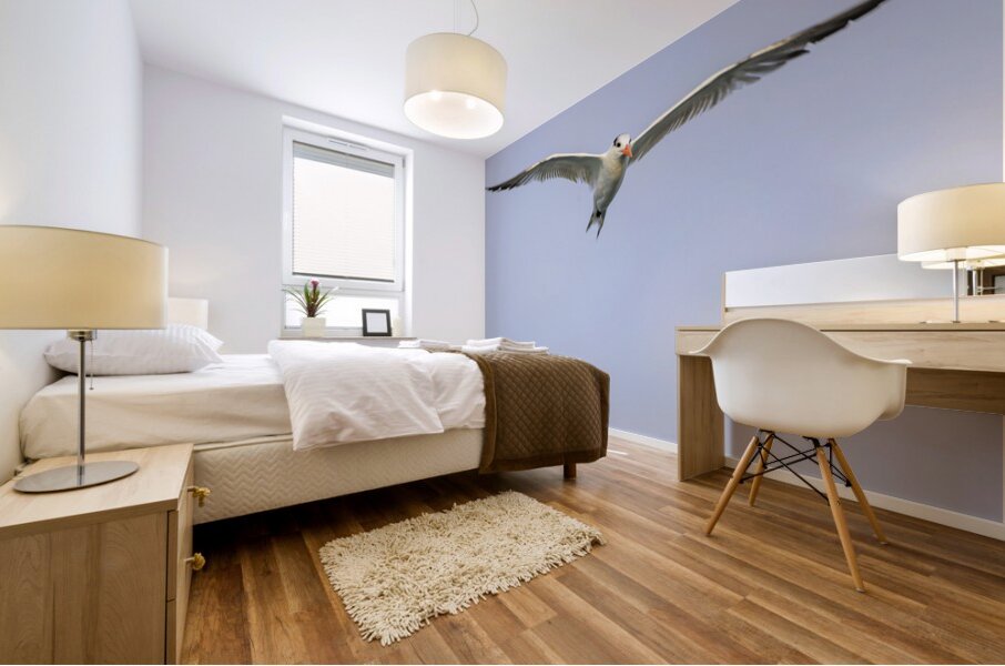 Store Dania Beach AE2A8747 Mural print