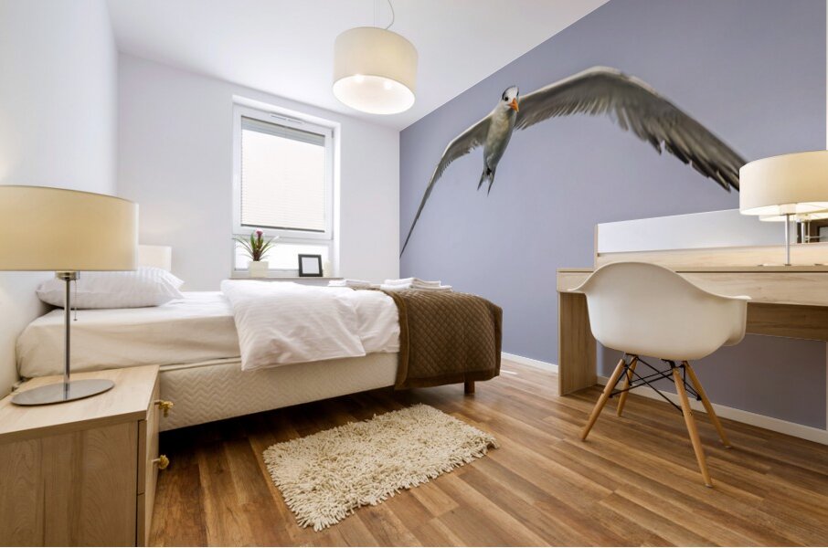 Store Dania Beach AE2A8748 Mural print