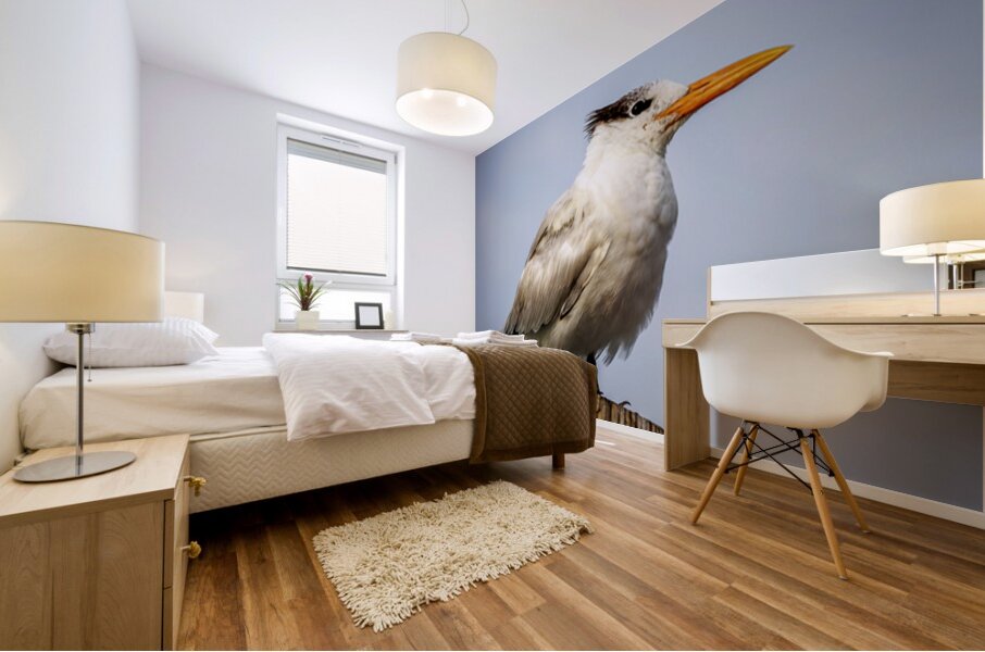 Store Dania Beach AE2A8709 Mural print