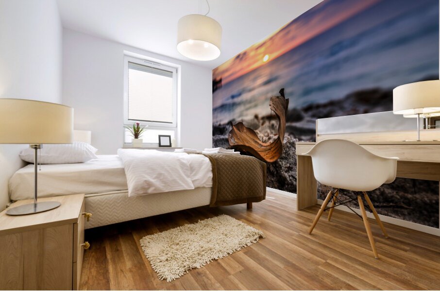 Store Dania Beach AE2A8654 Mural print