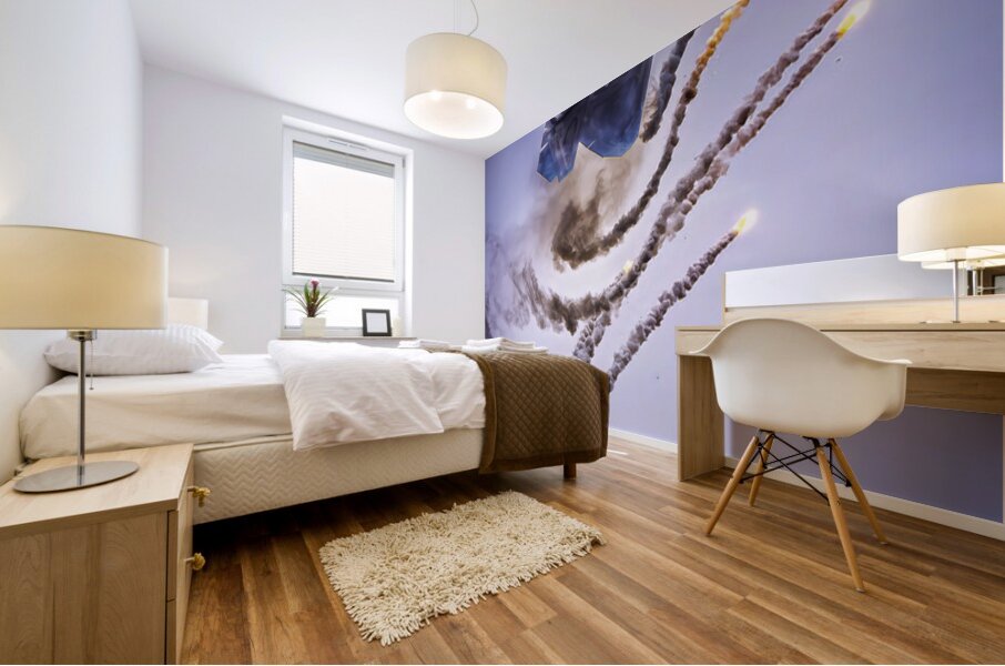 AirShow F22 AE2A5118 Mural print