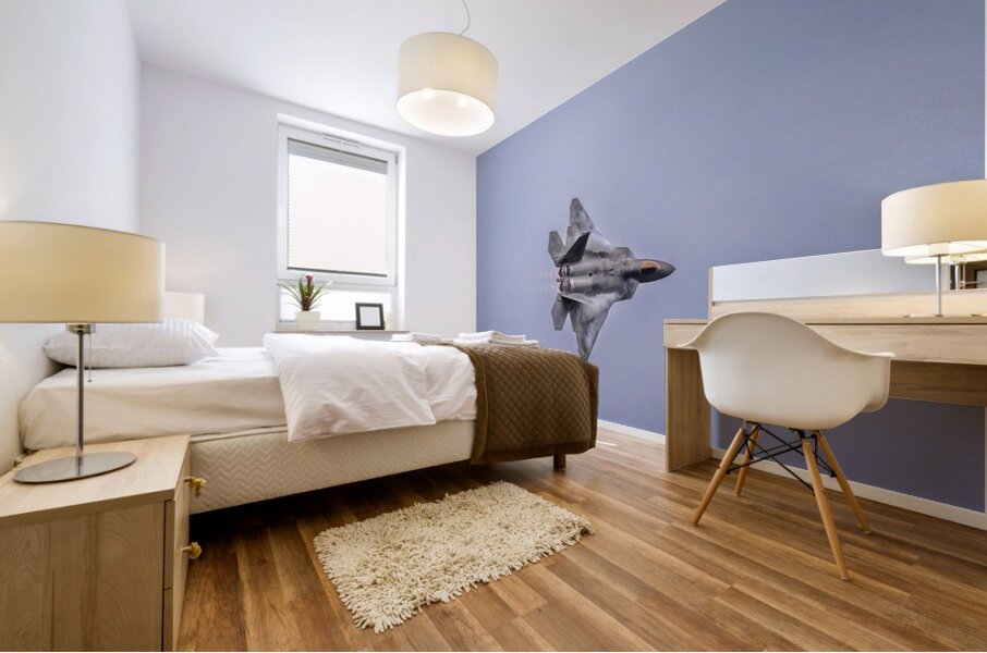 Store FLLAirShow AE2A4054 Mural print