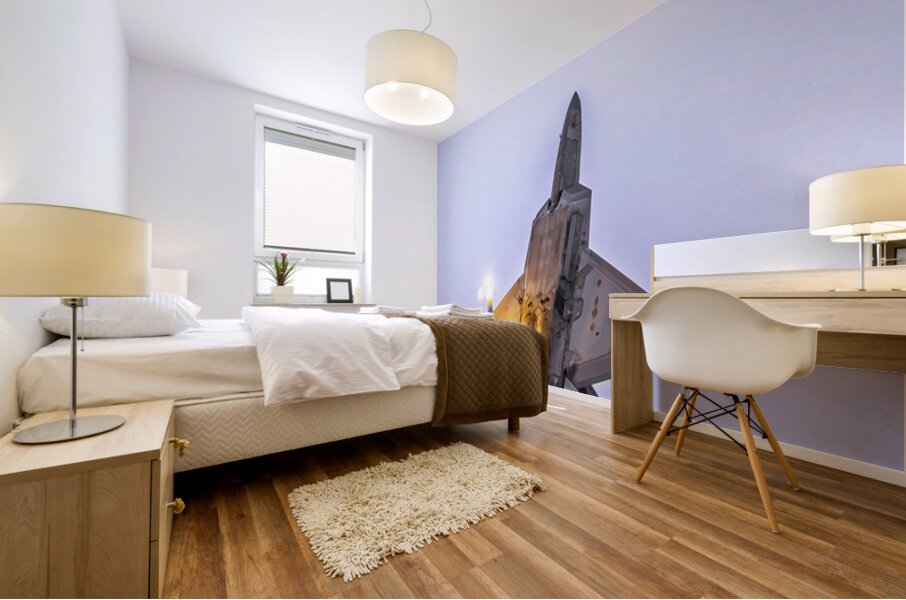 Store FLLAirShow AE2A4776 Mural print