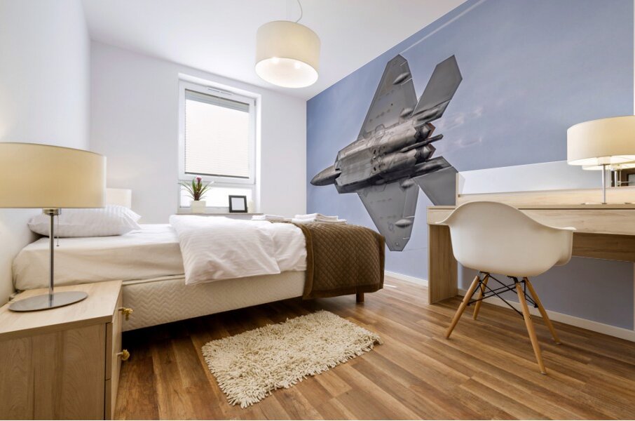 Store FLLAirShow AE2A4018 Mural print