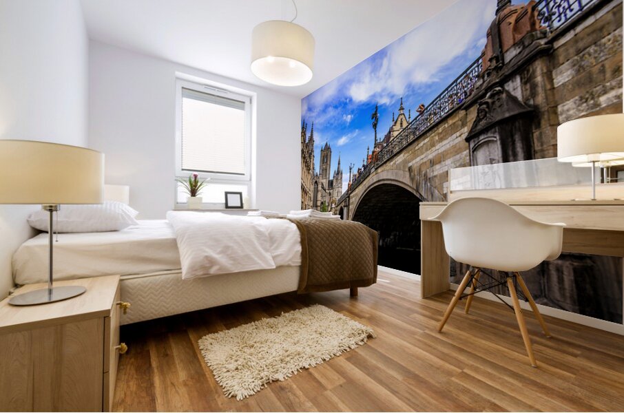 Belgium E2A9128 Mural print