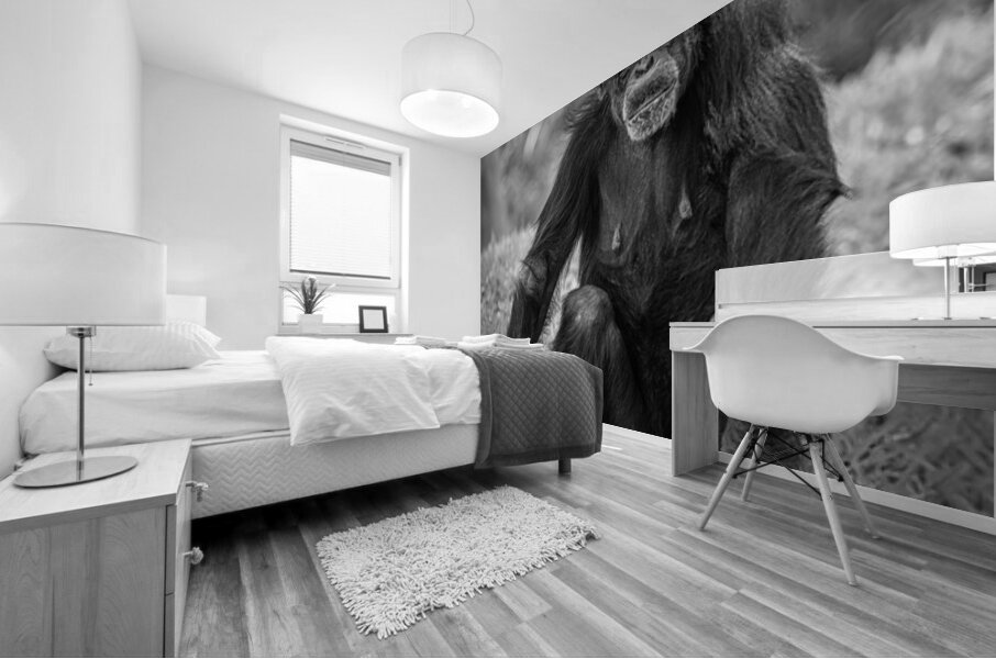 Wildlife 5 Mural print