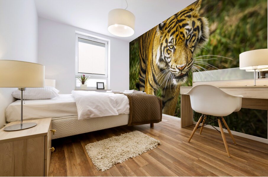 Wildlife 3 Mural print