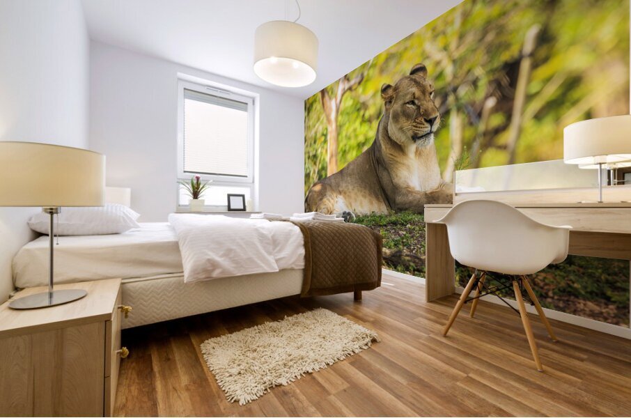 Lioness Mural print