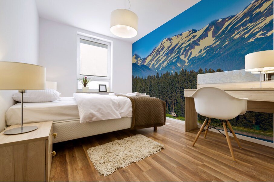 Store Alaska5L3A7545 Mural print