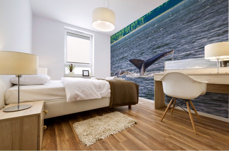 Store Alaska5L3A7728 Mural print