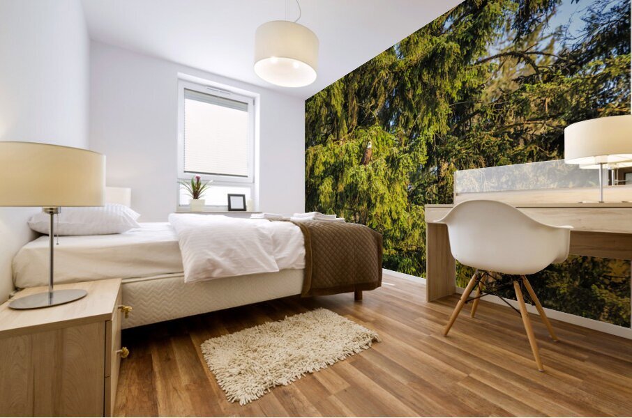 Store Alaska5L3A7987 Mural print