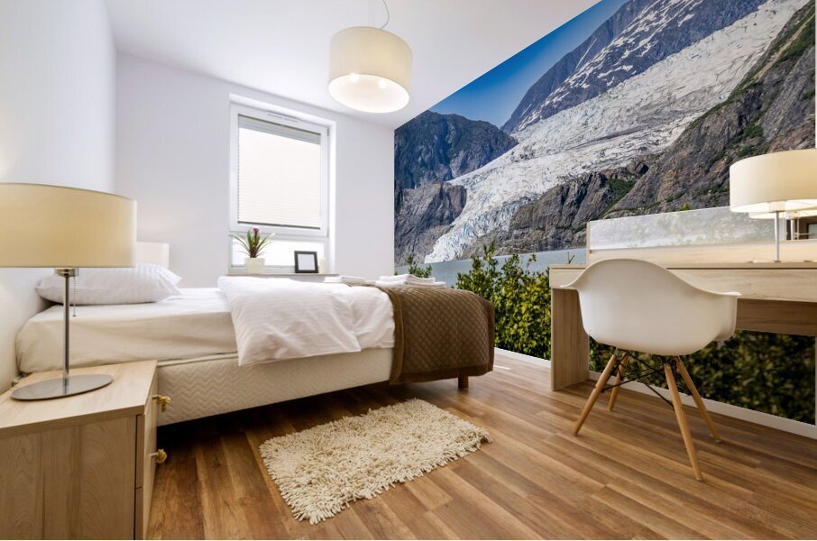 Store Alaska5L3A7477 Mural print