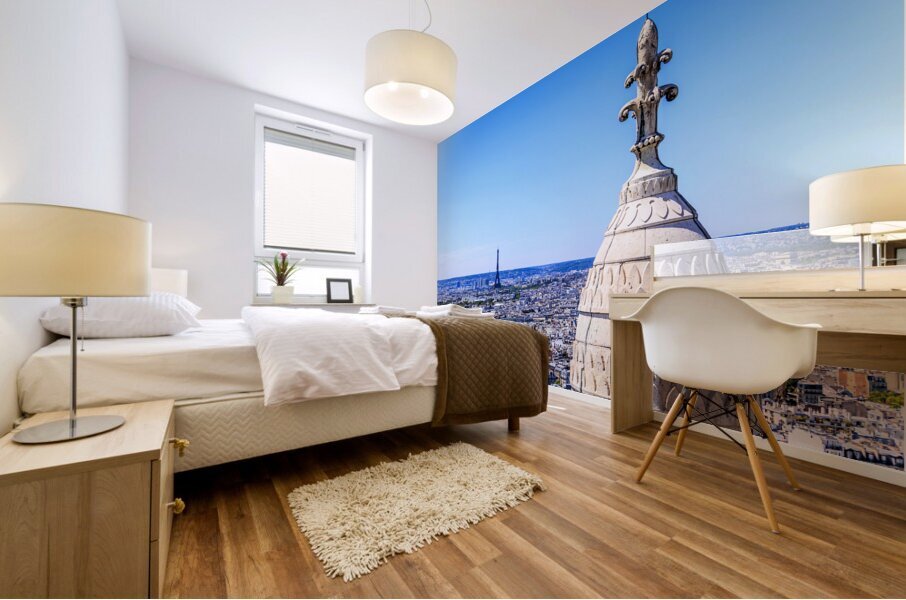 Store Paris 5L3A2662 Mural print