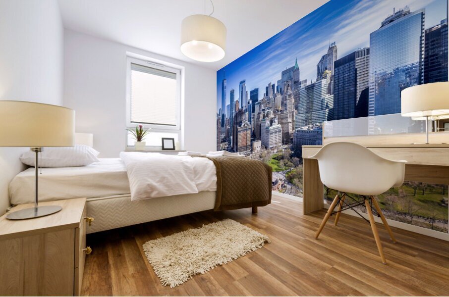 Store New York DJI 0291 Mural print