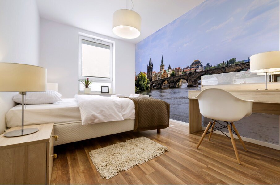 Store Prague 5L3A3747 Mural print