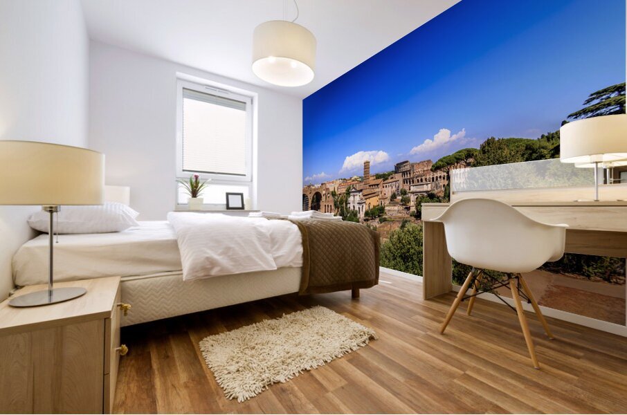 Store Rome 5L3A5108 Mural print