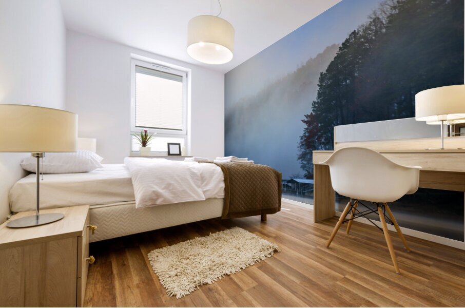 Store Florida 5L3A9746 Mural print