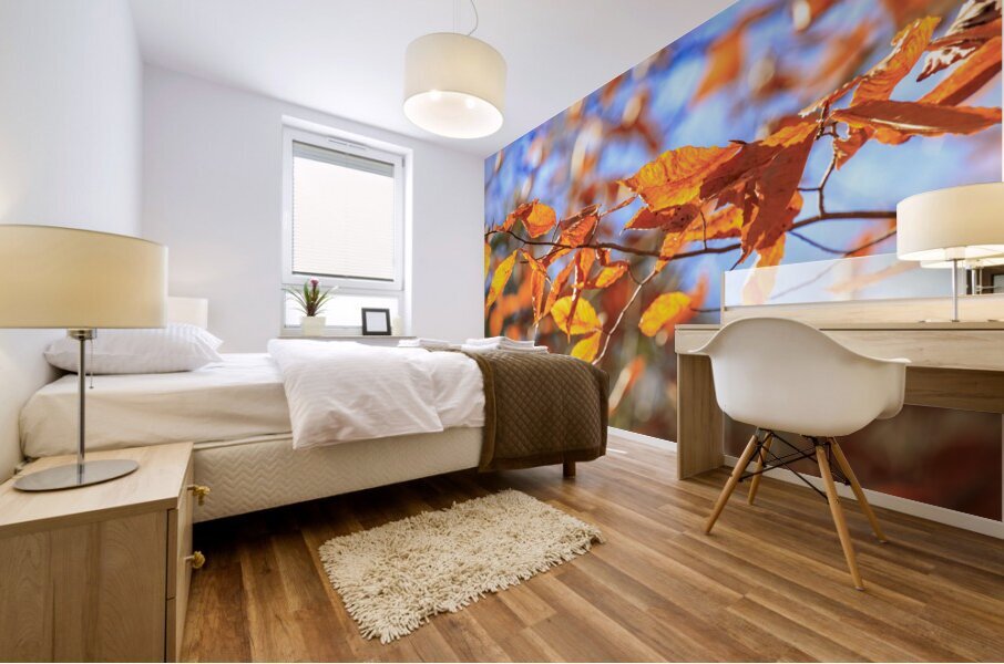 Store Georgia 5L3A0068 Mural print