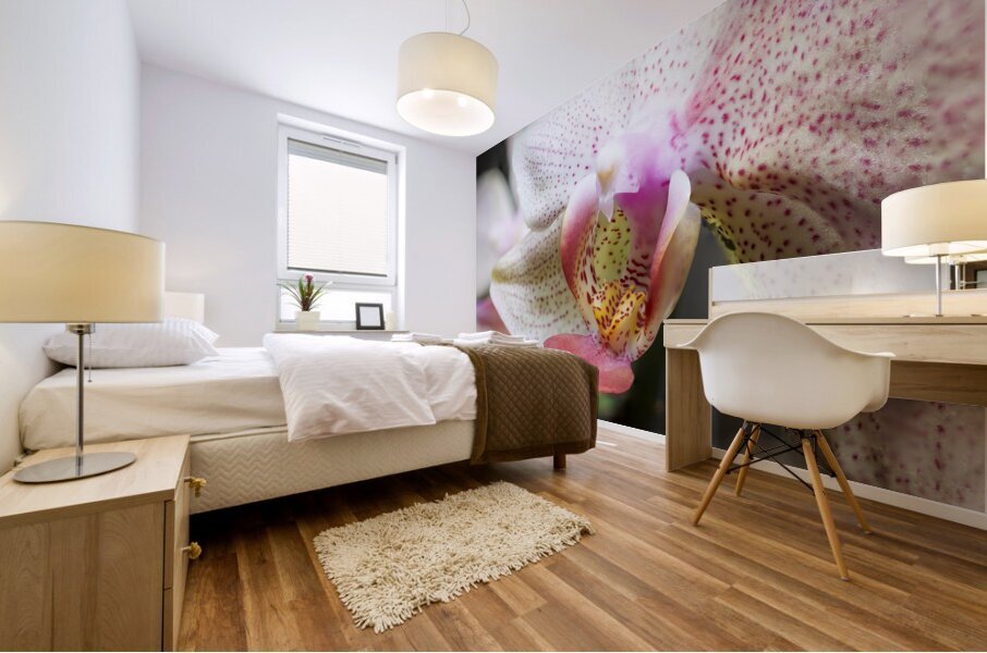 Store Macro 5L3A3626 Mural print