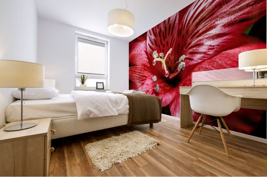 Store Macro 5L3A3569 Mural print