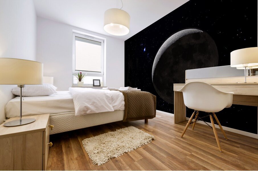 Moon Mural print